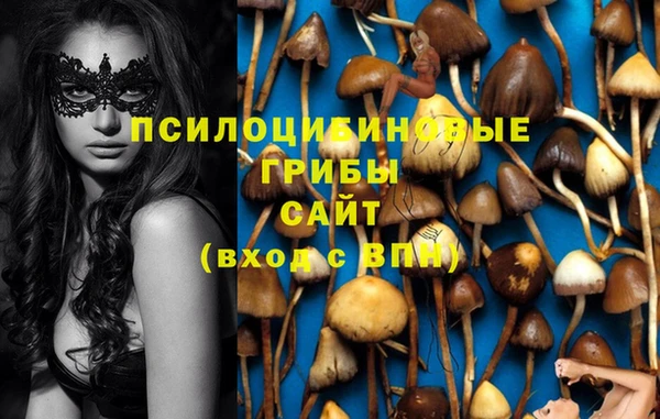 бошки Армянск