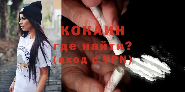 PSILOCYBIN Рославль