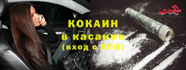 сатива Алексеевка